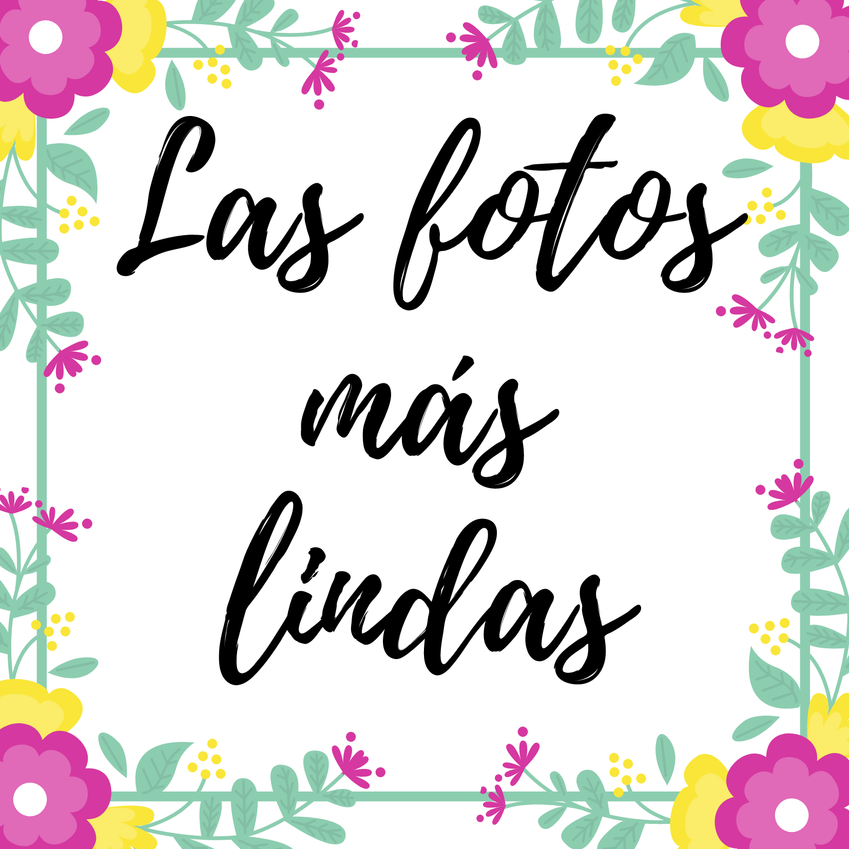 Las-fotos-más-lindas