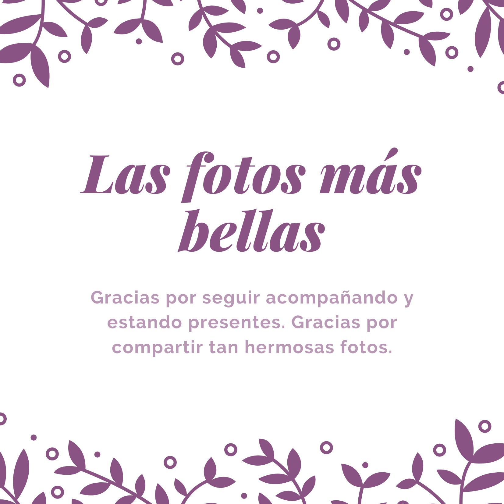 Las-fotos-más-bellas